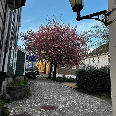 Ross-smauet - Charming House Constructed In 1880