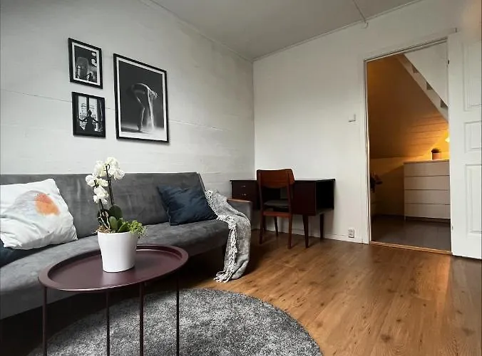 Ross-smauet - Charming House Constructed In 1880 Apartment